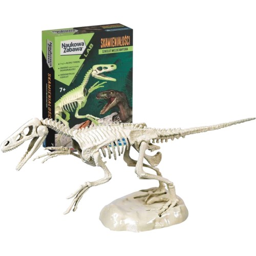 CLEMENTONI НАУКОВА ІГРА СКАМ'ЯНІЛОСТІ ВЕЛОЦИРАПТОР ДИНОЗАВР - 50639
