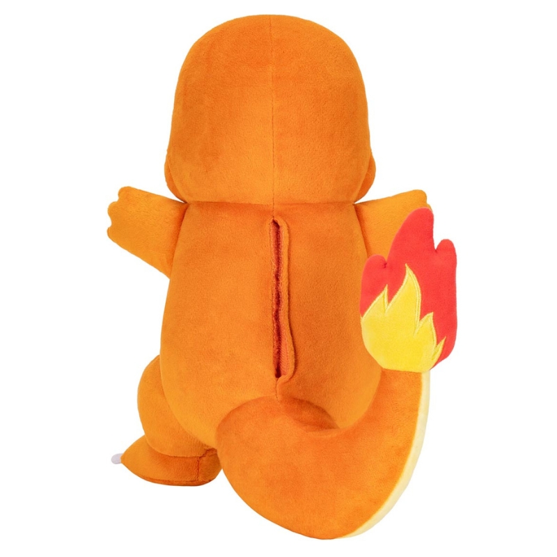 Pokemon Flame Action